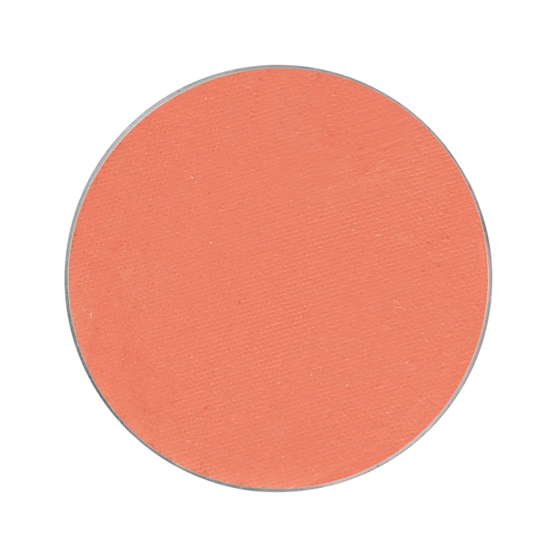 Blush Refill Magnetic Apricot